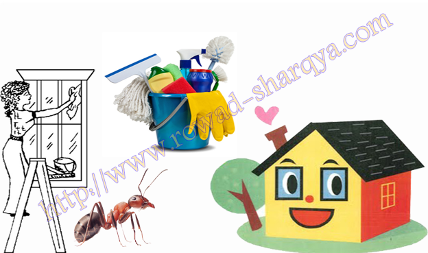 كيف تنظف المنزل من الحشرات